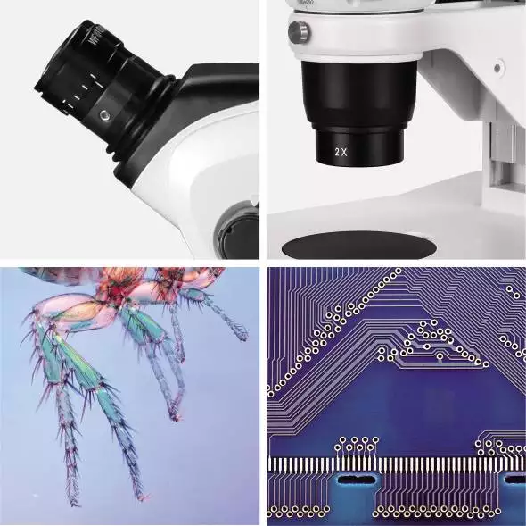 SZ Series Stereo Microscope 6