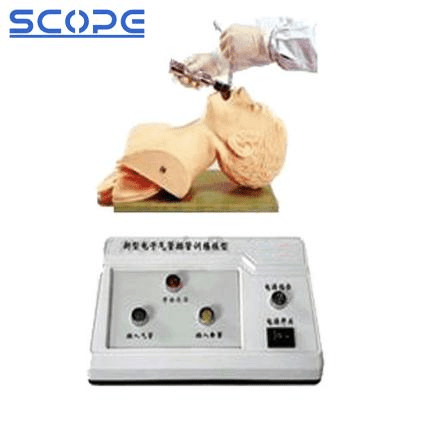 SC-J5S Electronic Airway Intubation Model (with Teeth Compression Alarm Device) 5