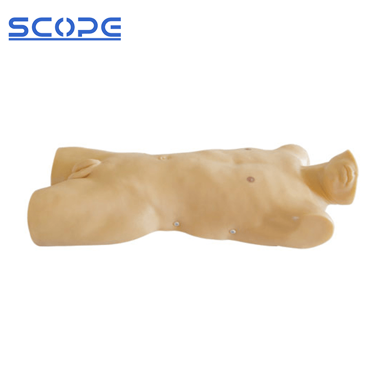 SC-CK816 Medulla Ossium Puncture Standardized Patient Manikin 7
