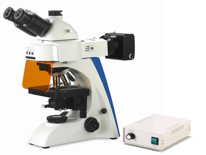 BK5000 LED Fluorescence Microscope