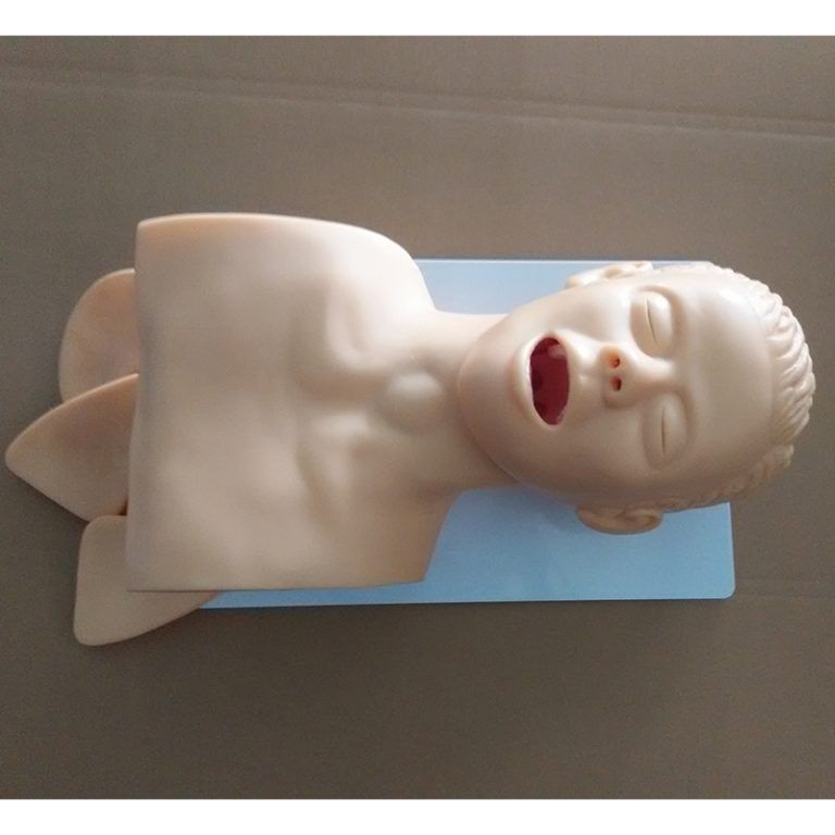 SC-J5S Electronic Airway Intubation Model (with Teeth Compression Alarm Device)