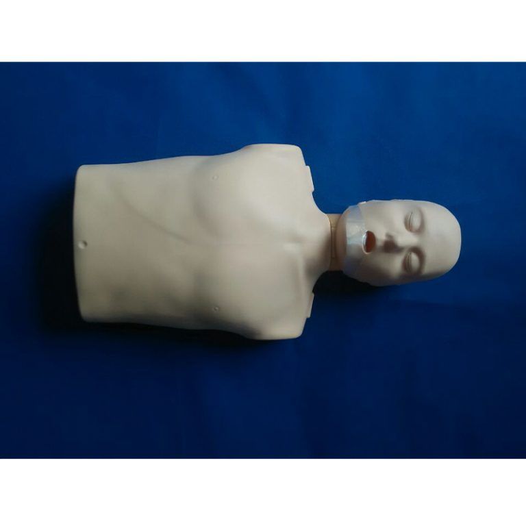SC-CPR100B Half-body CPR Training Manikin(Simple)