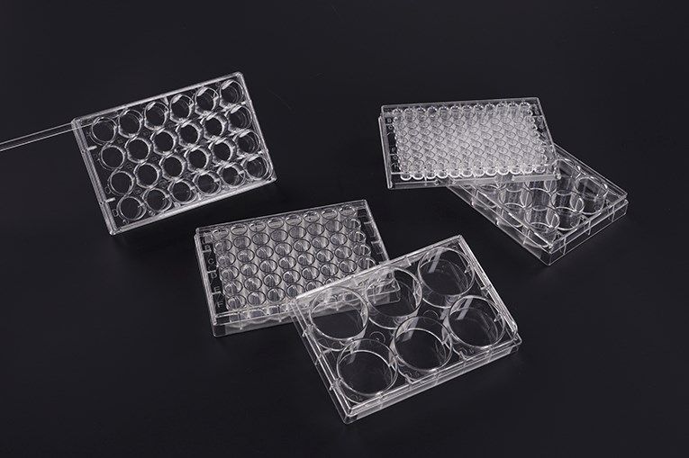 Unlocking the Potential of Cell Culture: The Versatility of Multiwell Plates