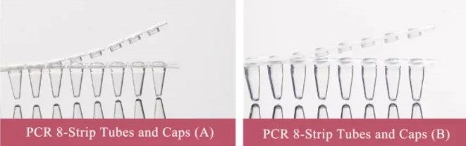 PCR 8-Strip Tubes and Caps