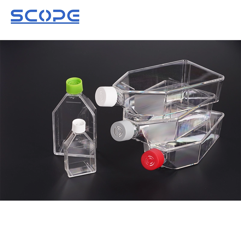 Cell Culture Flasks 6