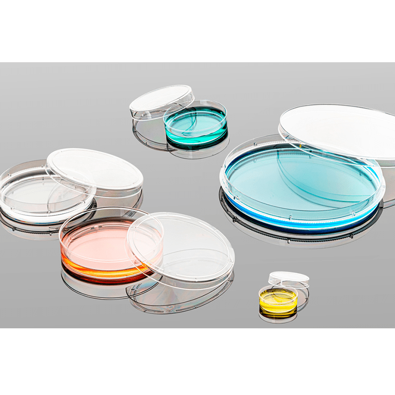 Cell Culture Dishes