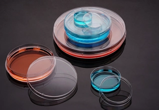 Cell Culture Dishes