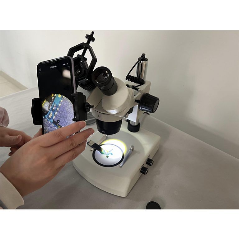 Which Two Microscopes Generate Three-Dimensional Images?