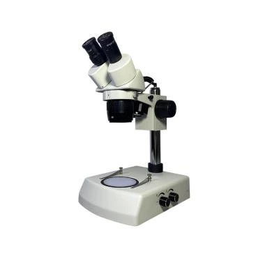XT24 Series Stereo Microscope 4