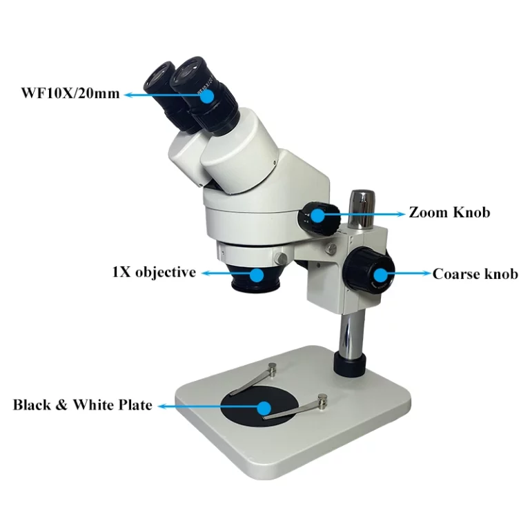 Can a stereo microscope see cells?