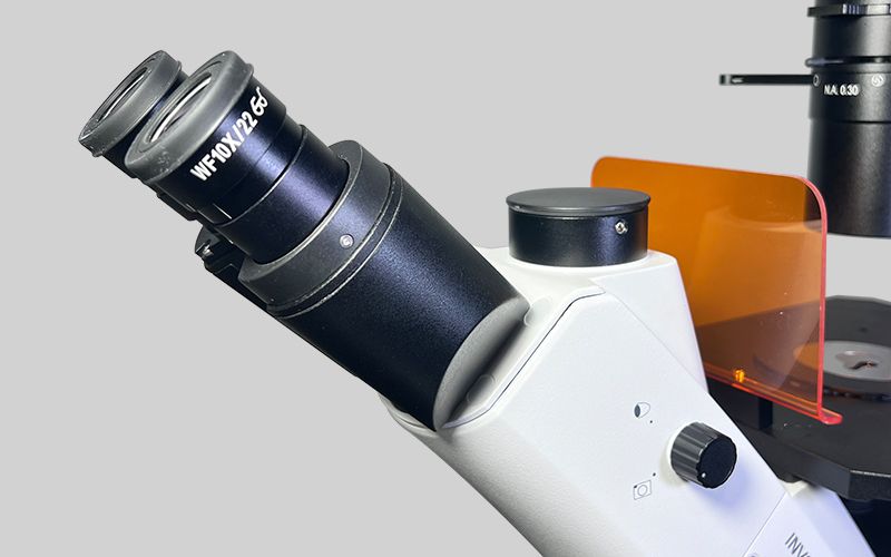 Fl Microscope BDS400-FL Fluorescence Microscope Supplier - Scopelab