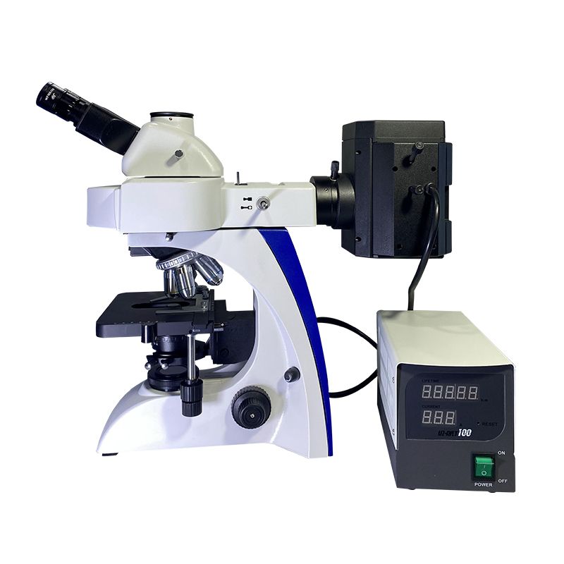 Fl Microscope BK5000-FL Fluorescence Microscope Supplier in China - Scopelab