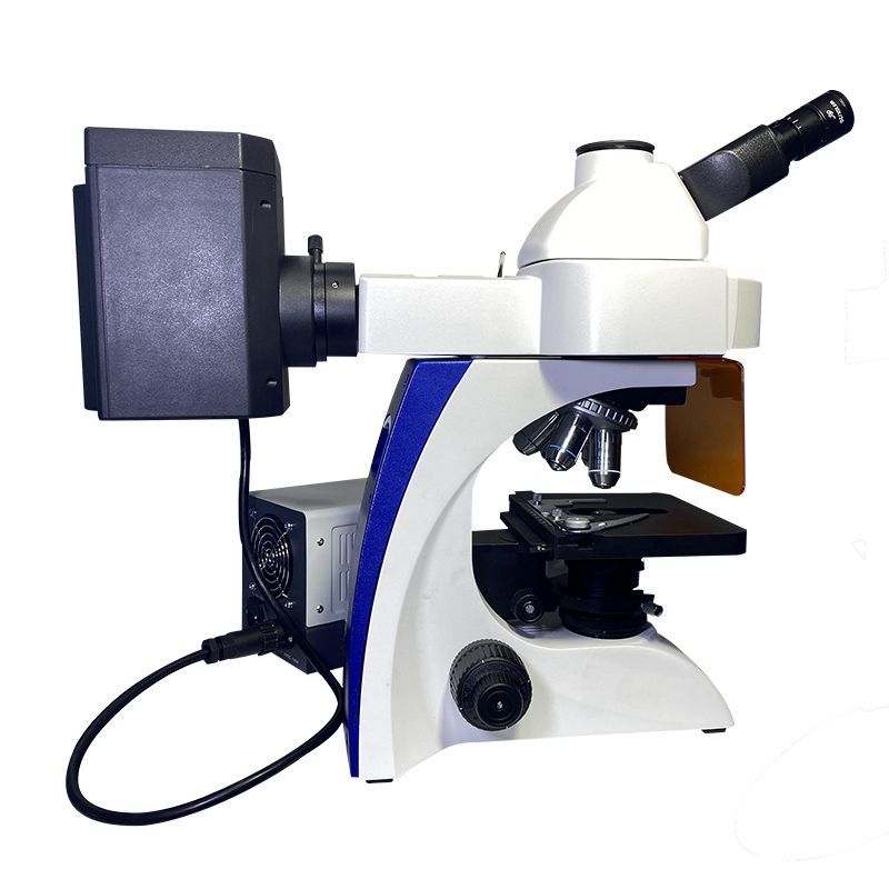Fl Microscope BK5000-FL Fluorescence Microscope Supplier in China - Scopelab
