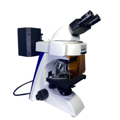 BK5000-FL Fluorescence Microscope 3