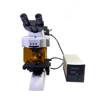 BK5000-FL Fluorescence Microscope 4