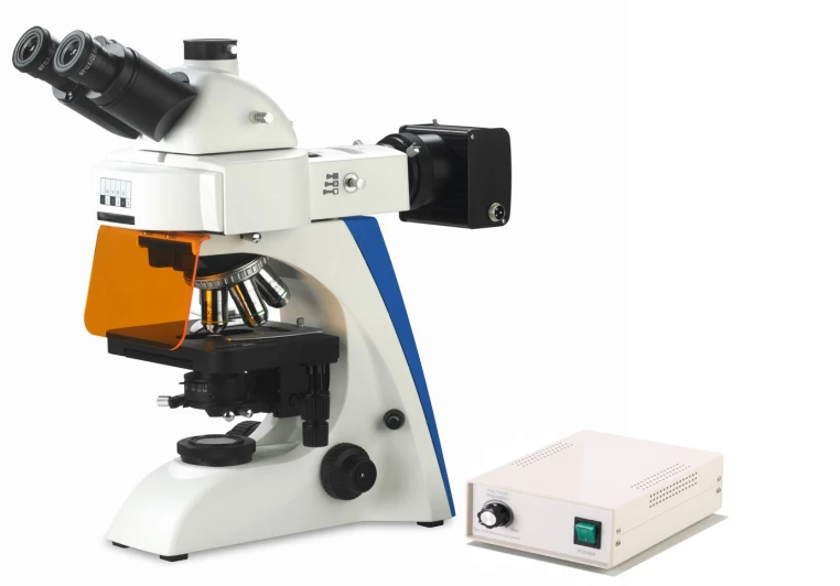 BK5000 LED Fluorescence Microscope