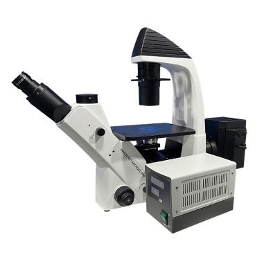 BDS400-FL Fluorescence Microscope