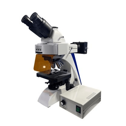 BK6000-FL Fluorescence Microscope 4