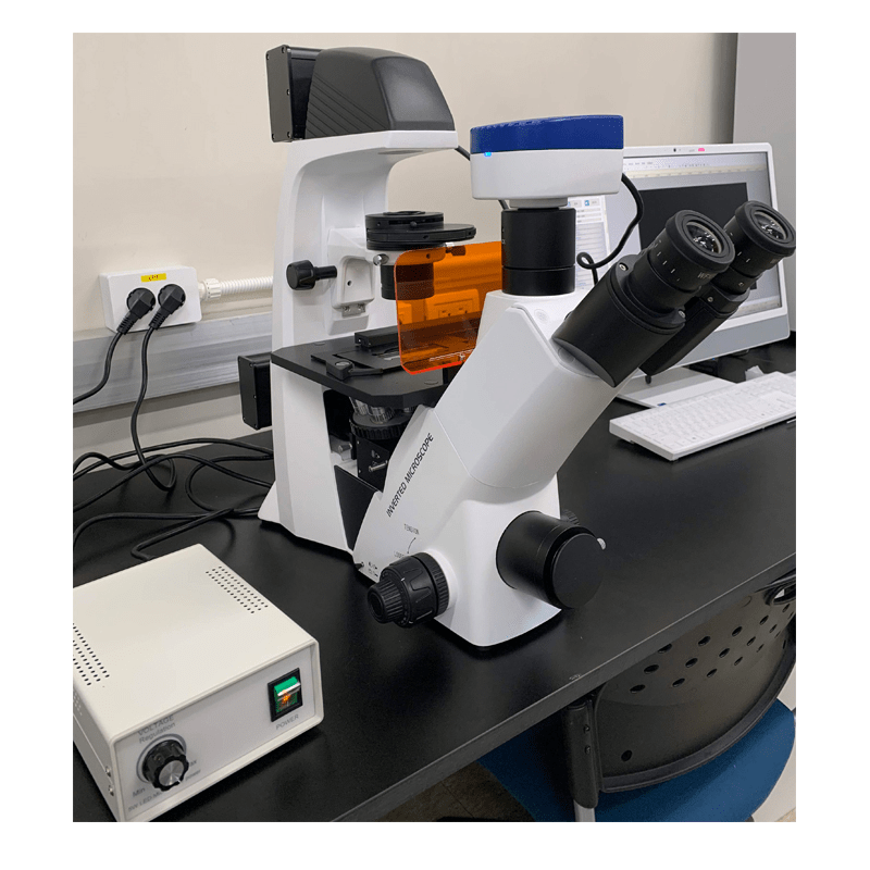 BDS500-FL Inverted Fluorescence Microscope 2