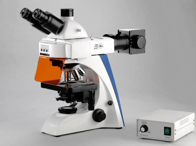 BK6000 LED Fluorescence Microscope
