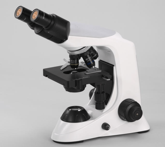 Binocular Microscope