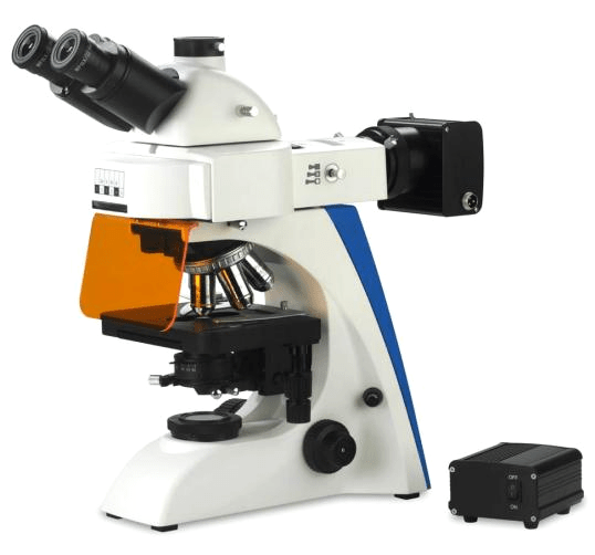 BK5000 Fluorescence Microscope