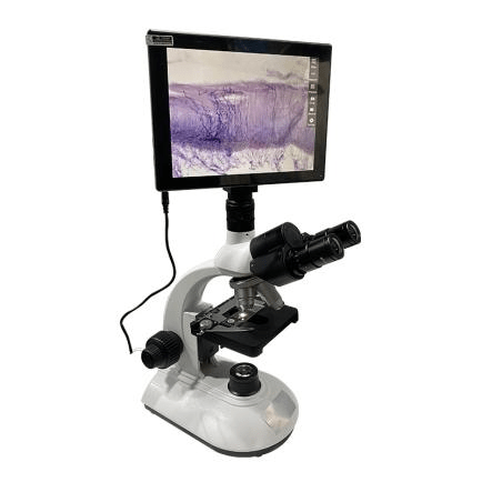 B Series Biological Microscope