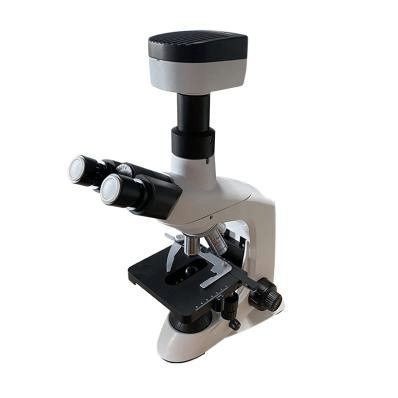 B302 Series Biological Microscope