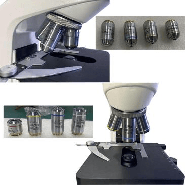 B302 Series Biological Microscope