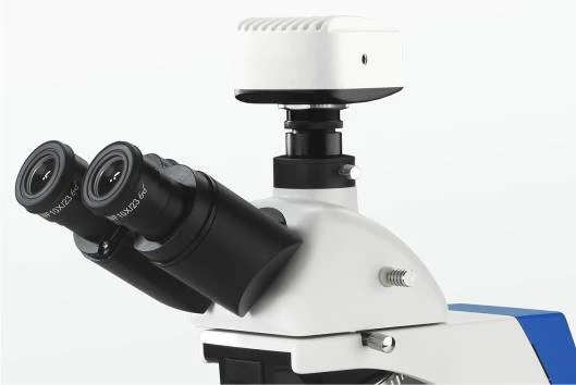BK6000 Series Biological Microscope 7