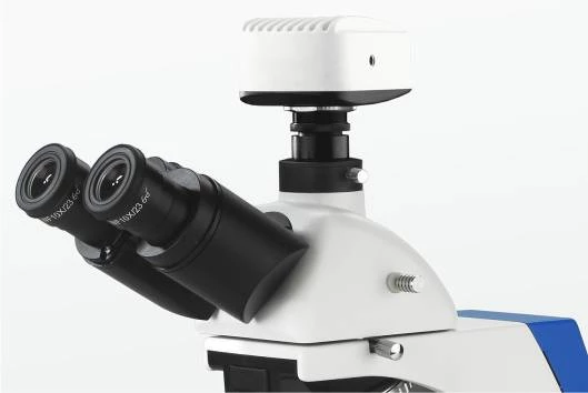 BK6000 Series Biological Microscope