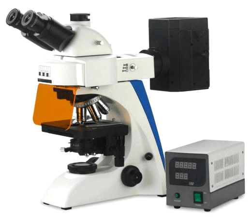 BK6000 Fluorescence Microscope