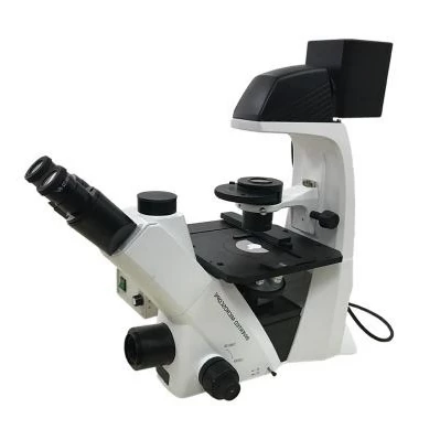 Beyond Upright: Advantages and Considerations for Choosing an Inverted Biological Microscope
