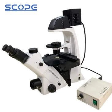 BDS500 Inverted Biological Microscope
