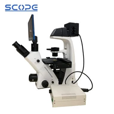 BDS500 Inverted Biological Microscope