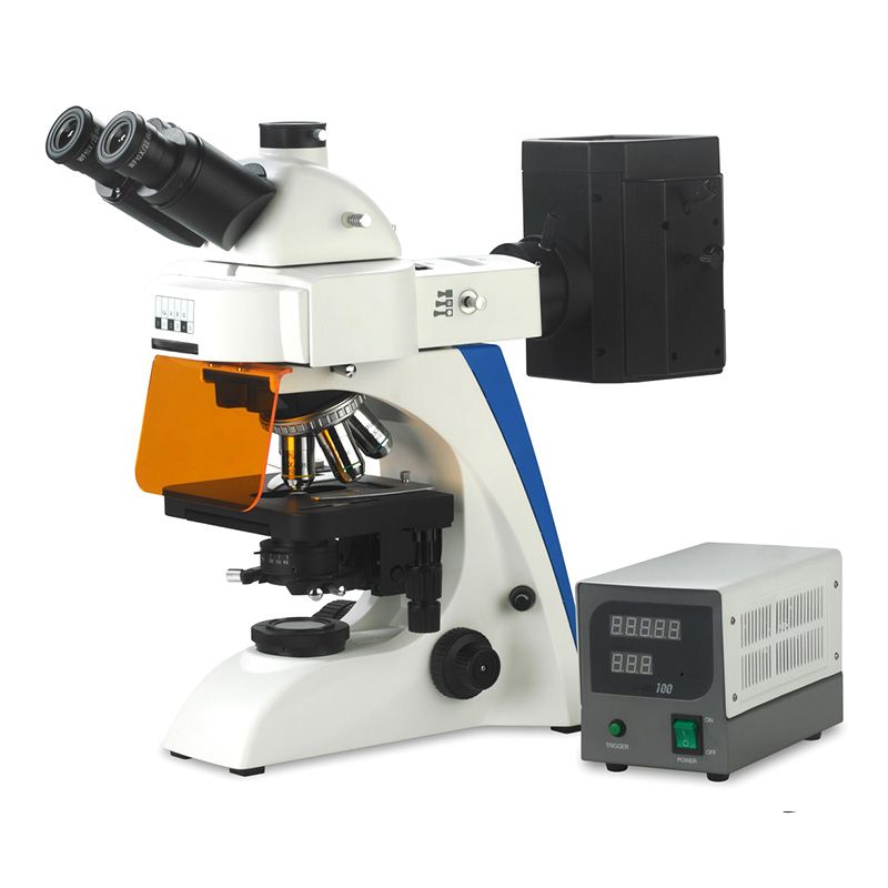 BK5000-FL Fluorescence Microscope