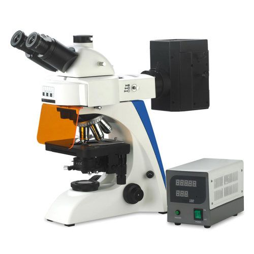 BK6000-FL Fluorescence Microscope 1