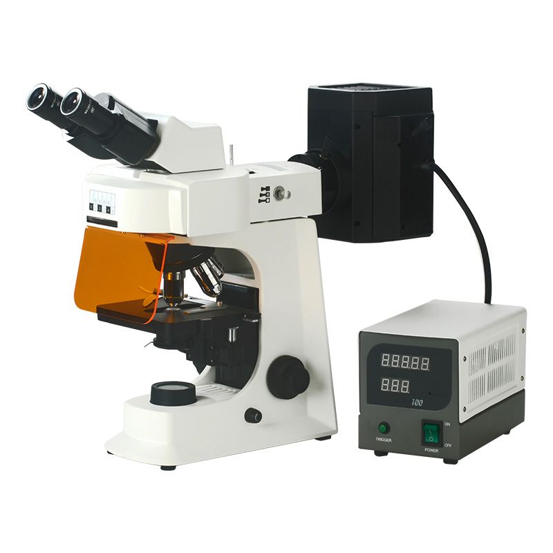 SMART-FL Fluorescence Microscope