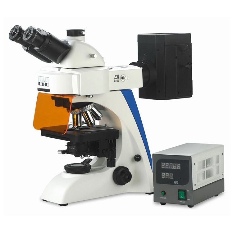 BK6000 Fluorescence Microscope