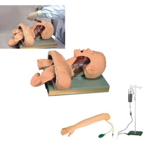 Nursing Manikin Model Medical Instrument for Hospital Teaching