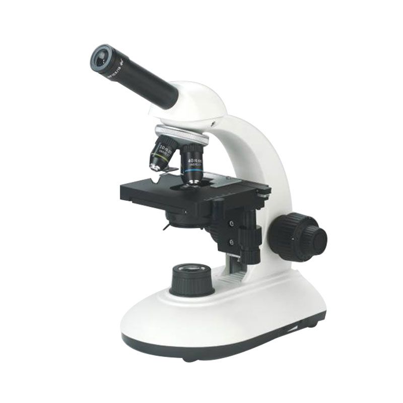 B Series Biological Microscope 2