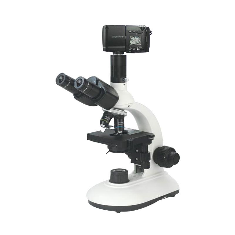 B Series Biological Microscope