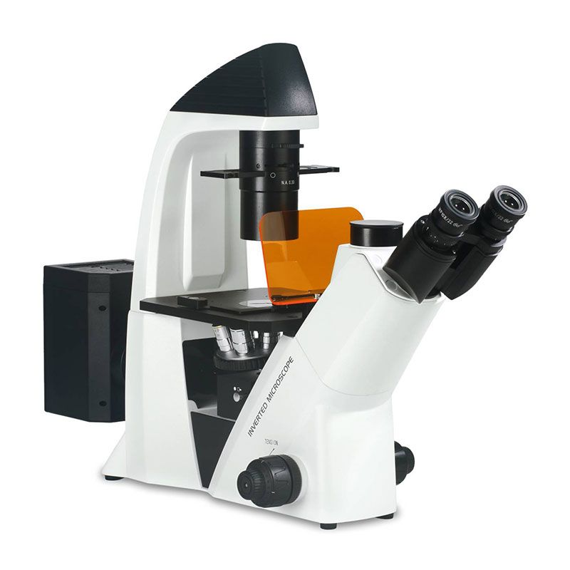 BDS400-FL Fluorescence Microscope 2