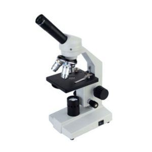 BP30 Series Biological Microscope