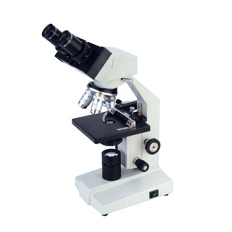 BP30 Series Biological Microscope