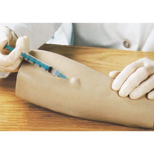 Advanced Arm Intradermal Injection Model