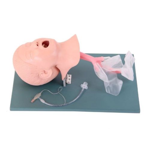 SC-J4A Advanced Child Trachea Intubation Model