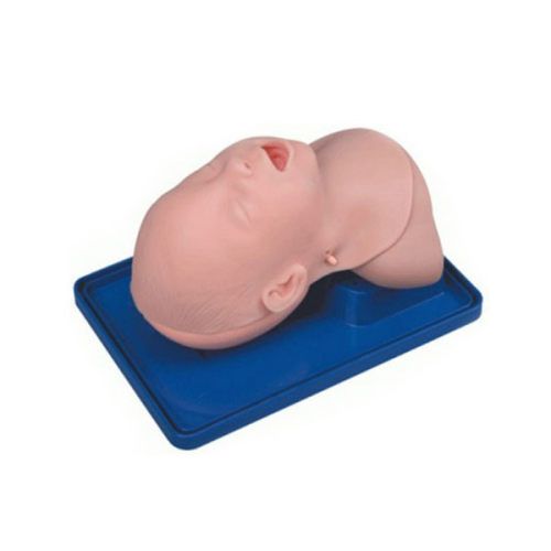 Advanced infant head for trachea intubation model