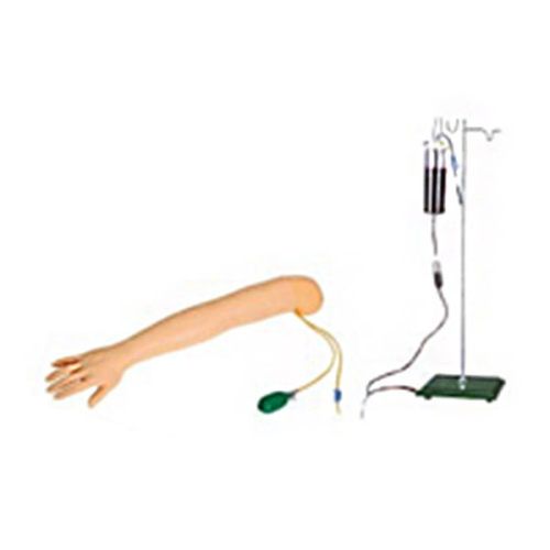 Arm Artery Puncture and Intramuscular Injection Training Model