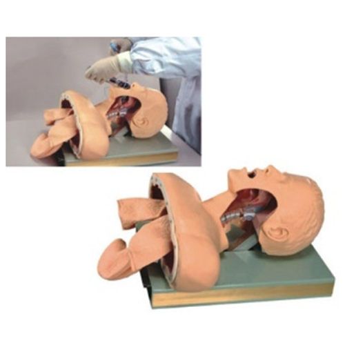 SC-J51 Electronic Airway Intubation Model (with Alarm Device)